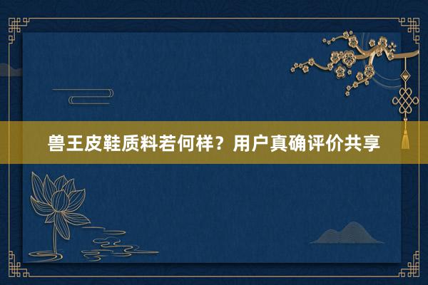 兽王皮鞋质料若何样？用户真确评价共享