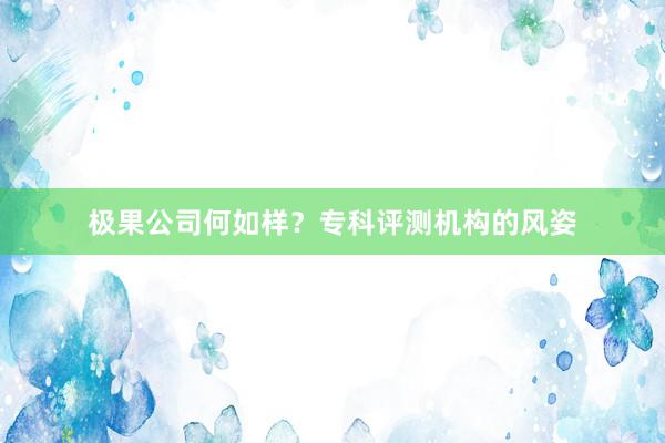 极果公司何如样？专科评测机构的风姿